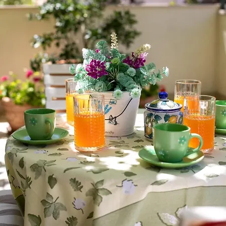 Terrace Apartment *